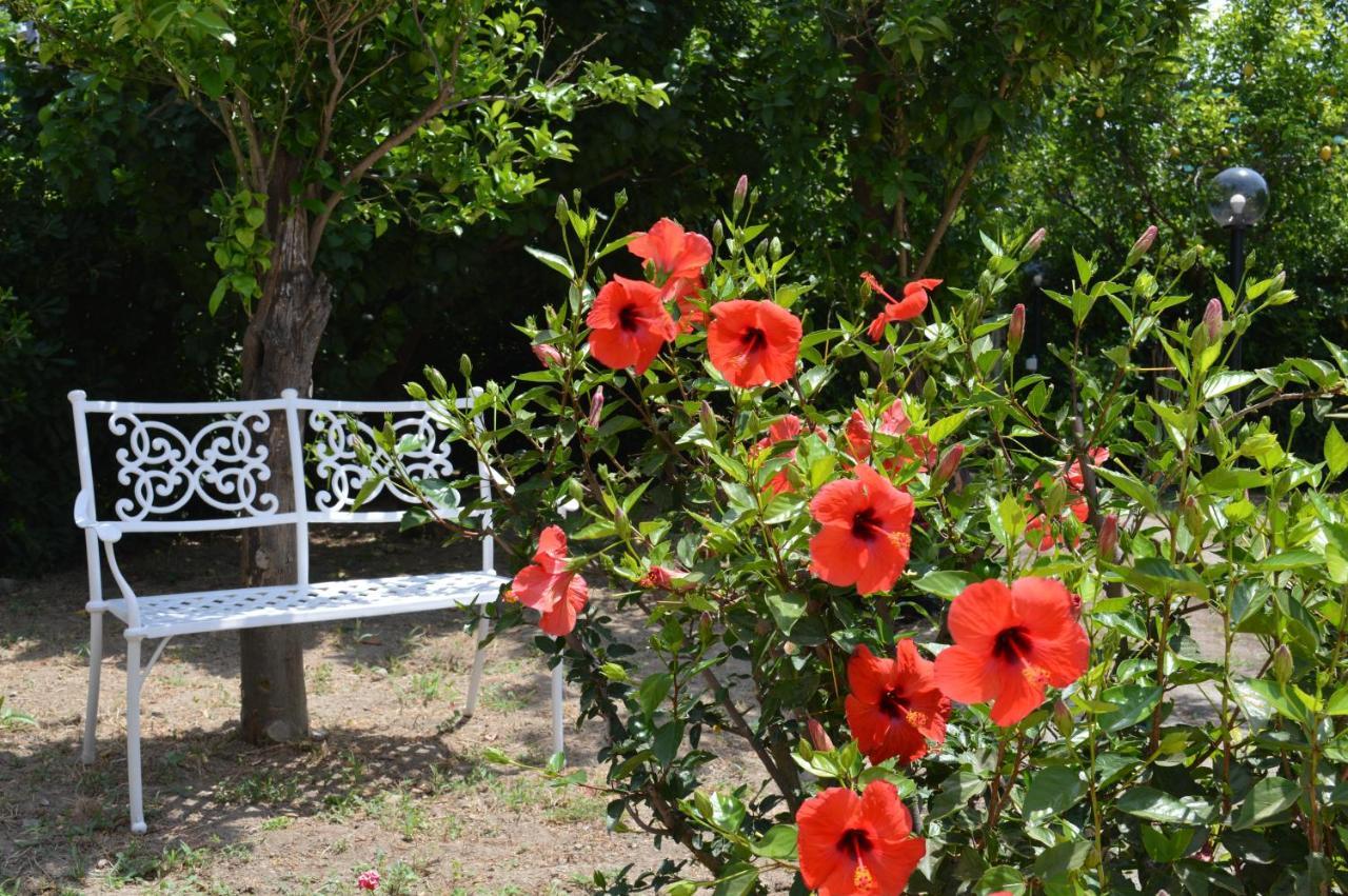 Baia Della Serenita Piano di Sorrento Dış mekan fotoğraf